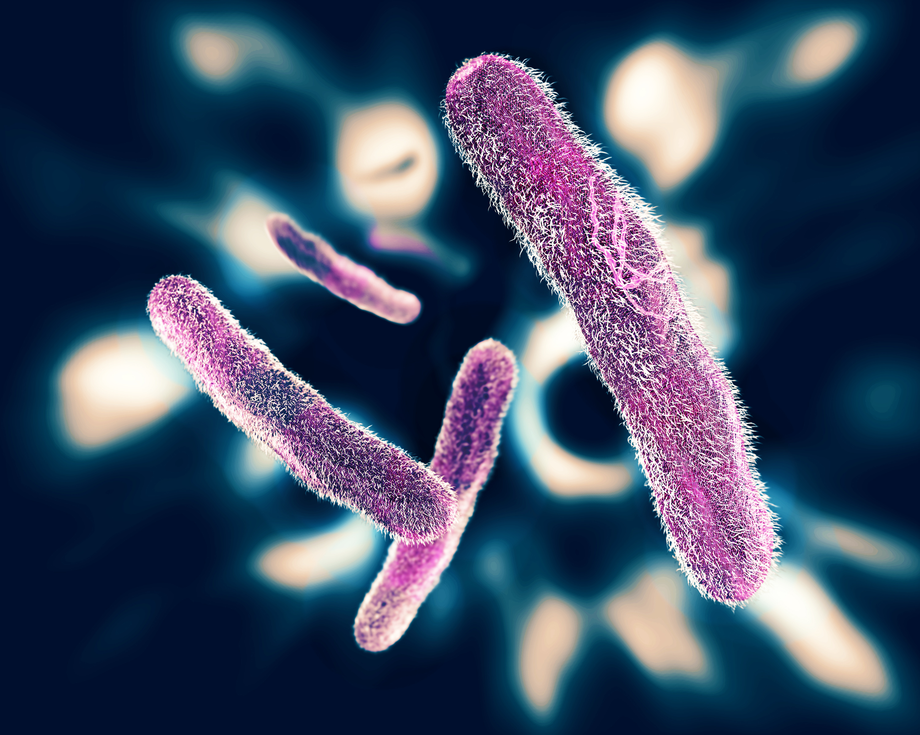 Anti-Microbial & Anti-Fungal